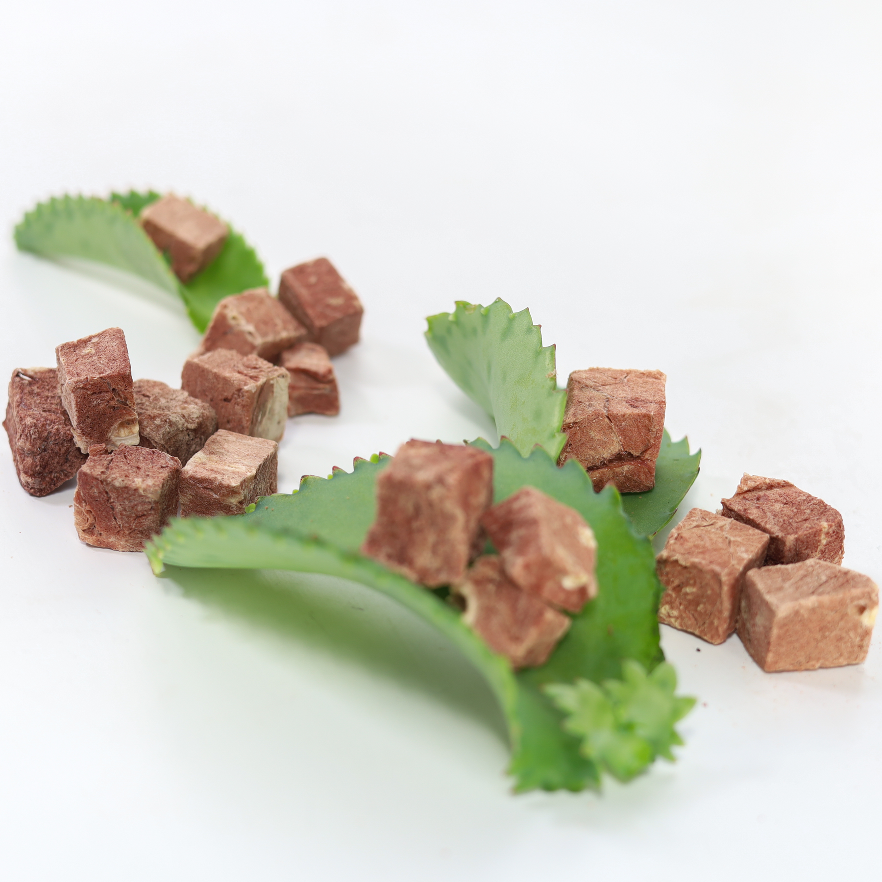 Beef Lung