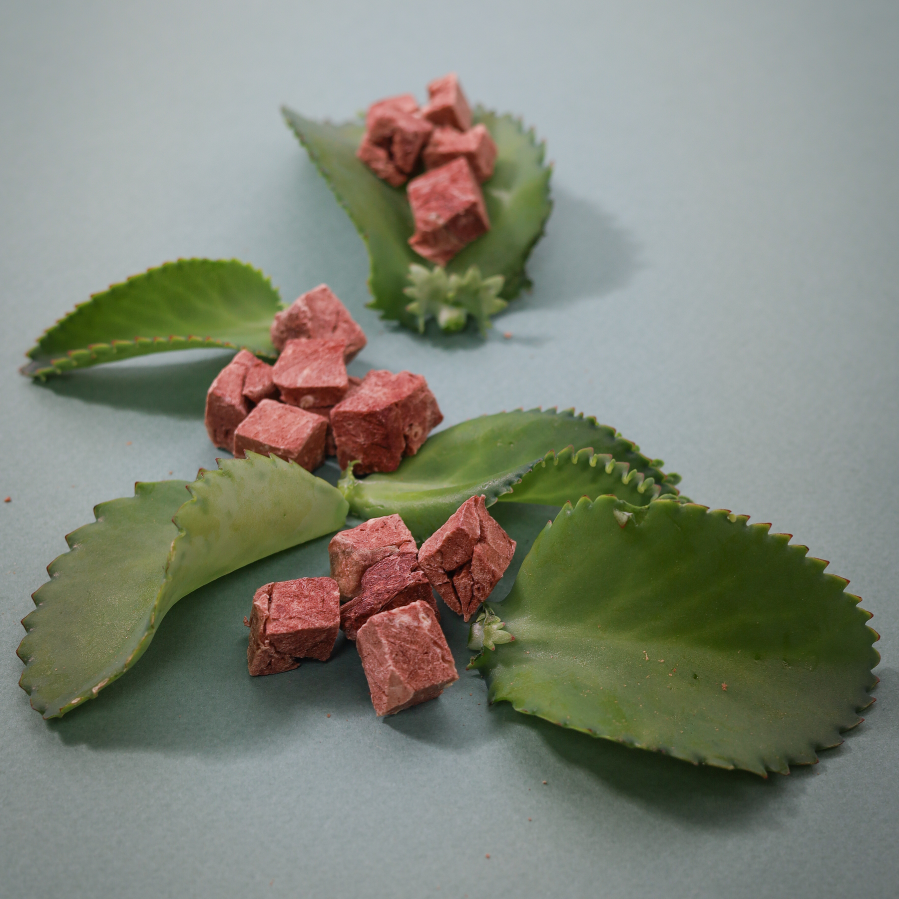 Beef Lung
