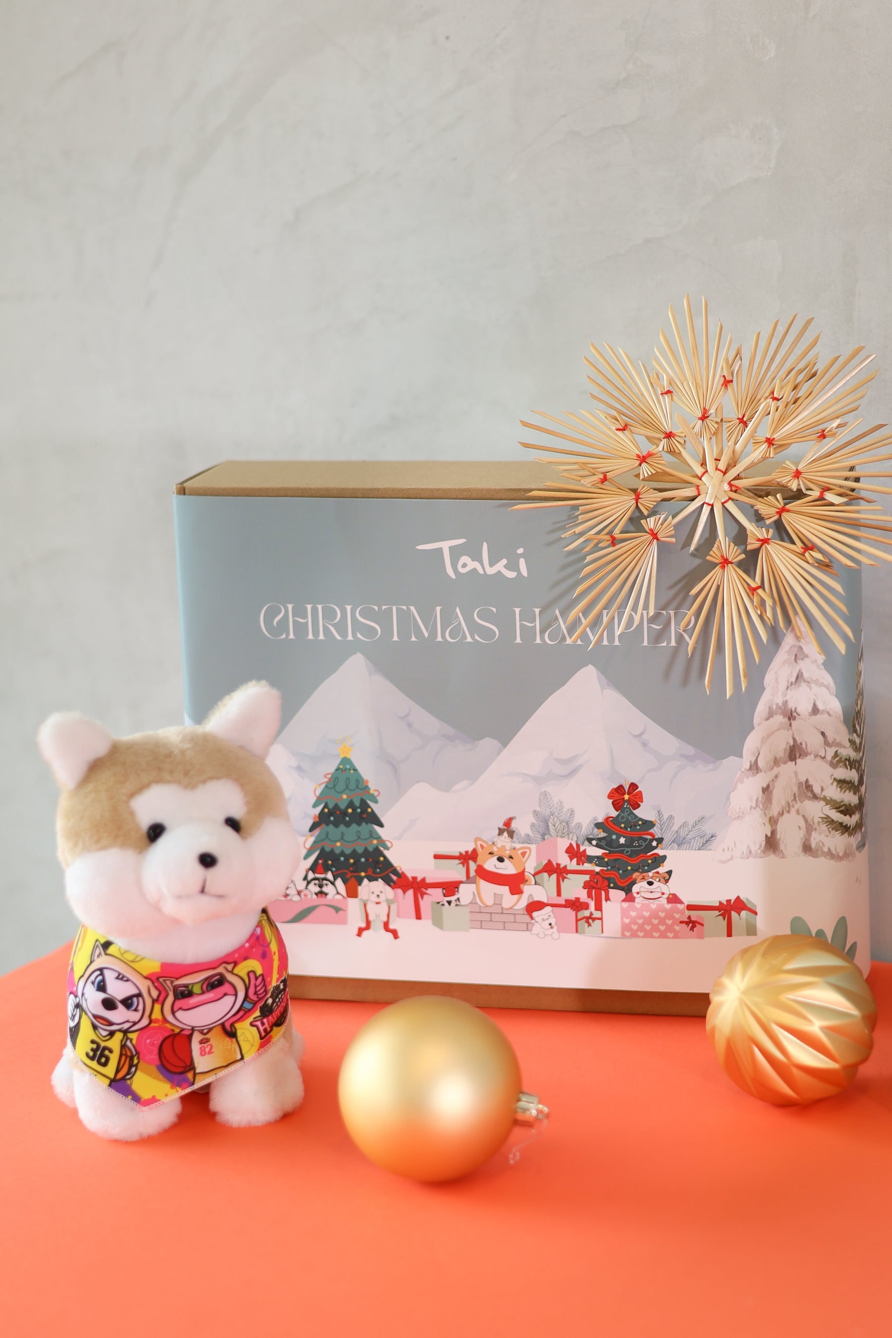 TAKI Christmas Hamper 🍕Michelangelo's Christmas🍕