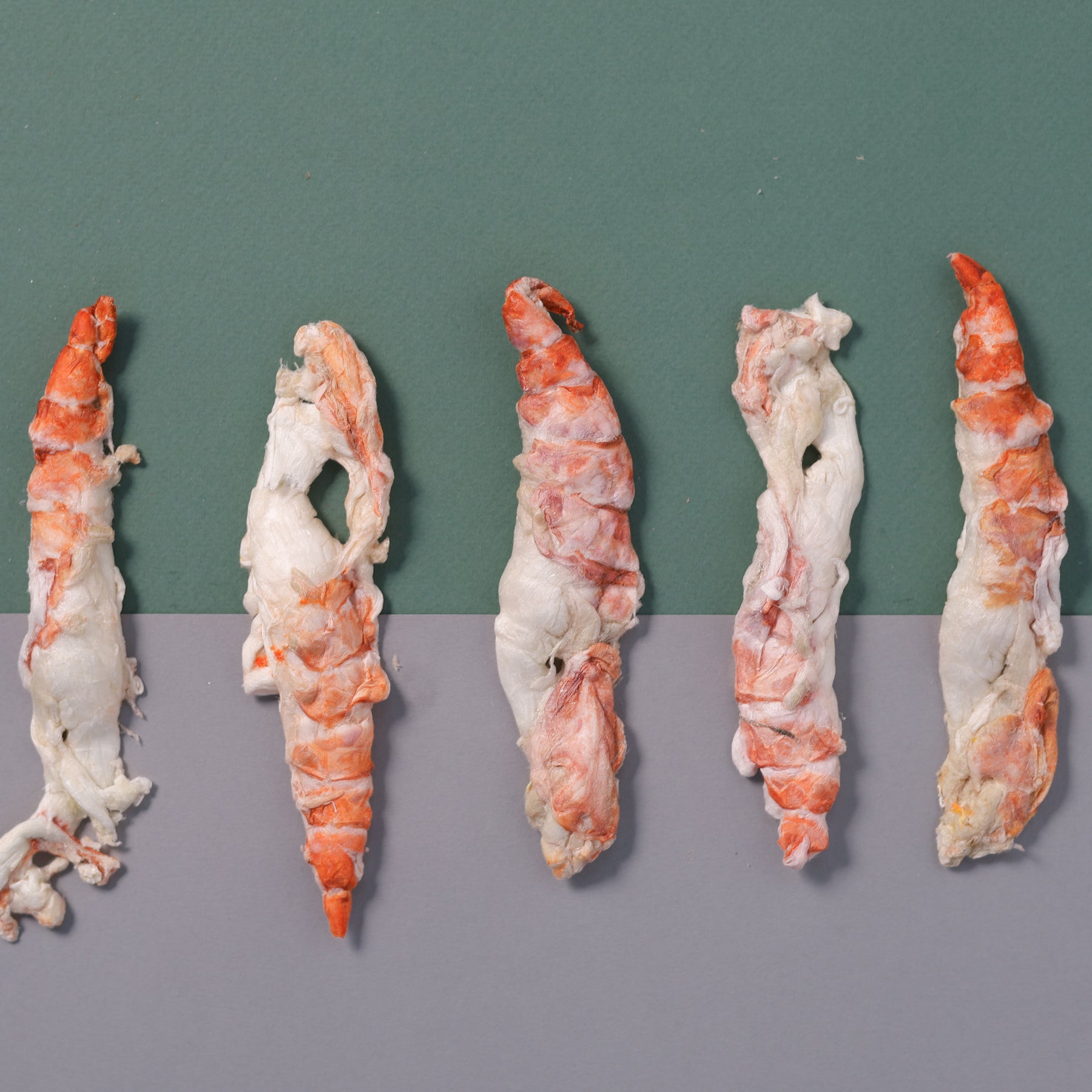 Giant King Prawn