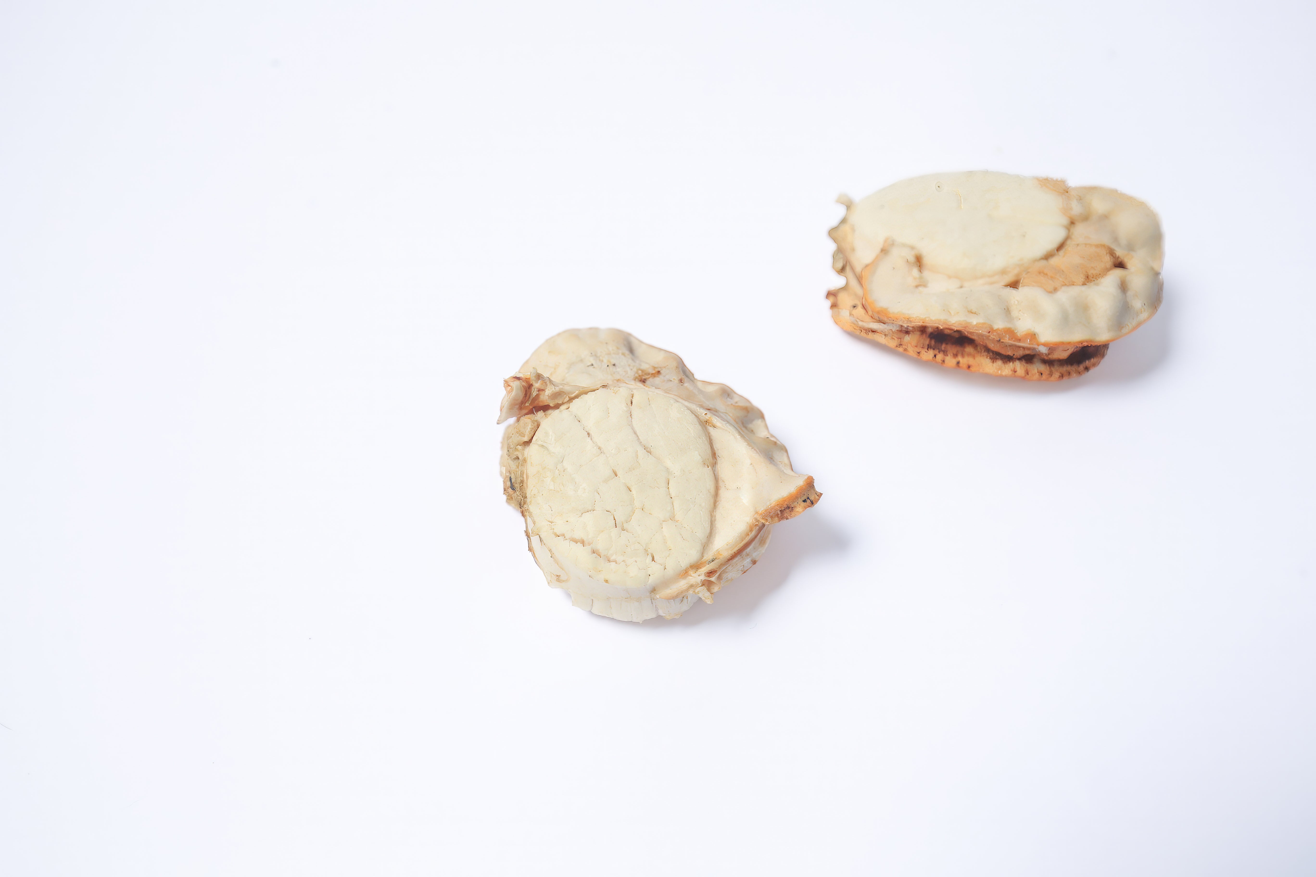 Whole Hokkaido Scallop 30g