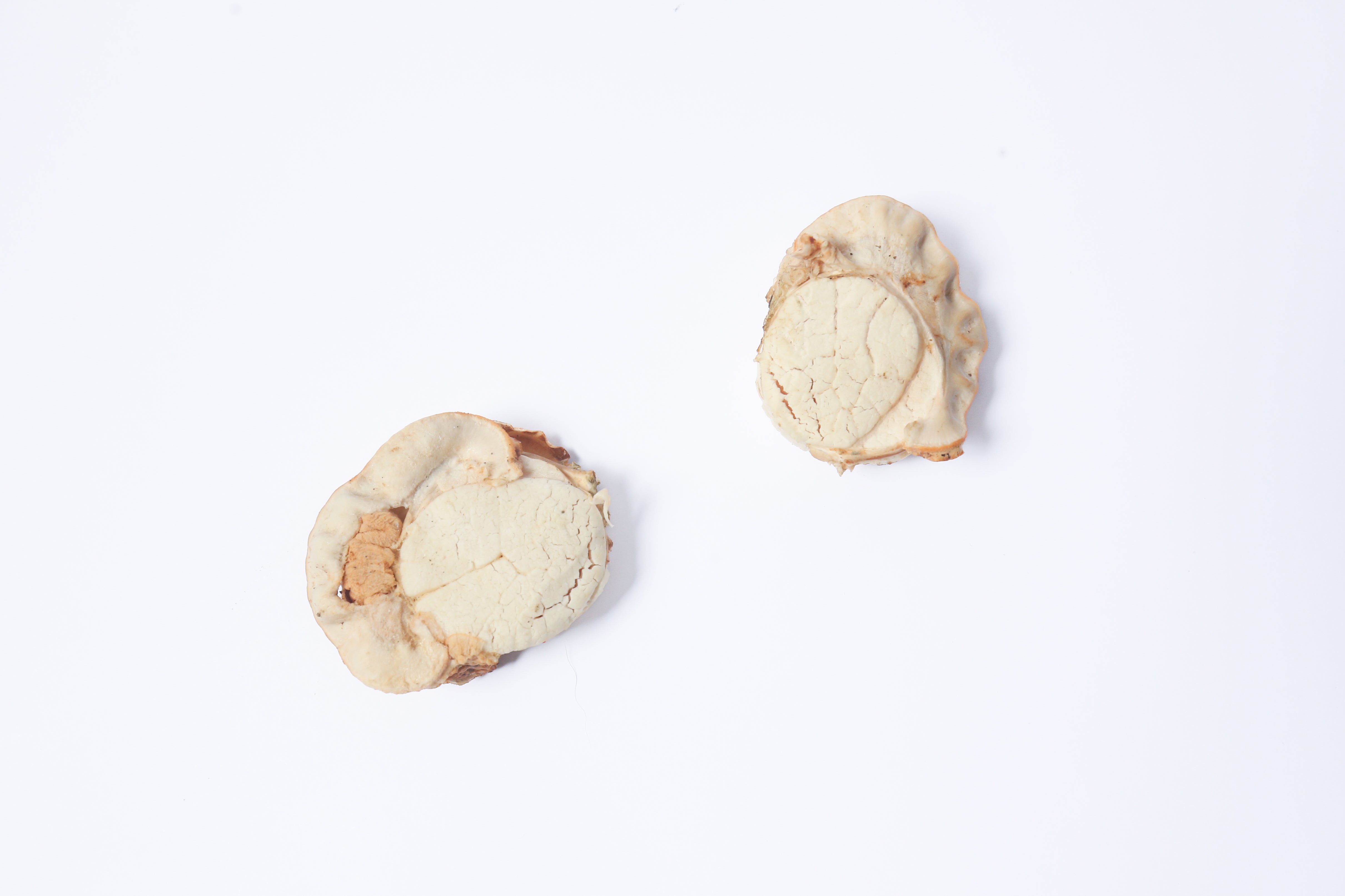 Whole Hokkaido Scallop 30g