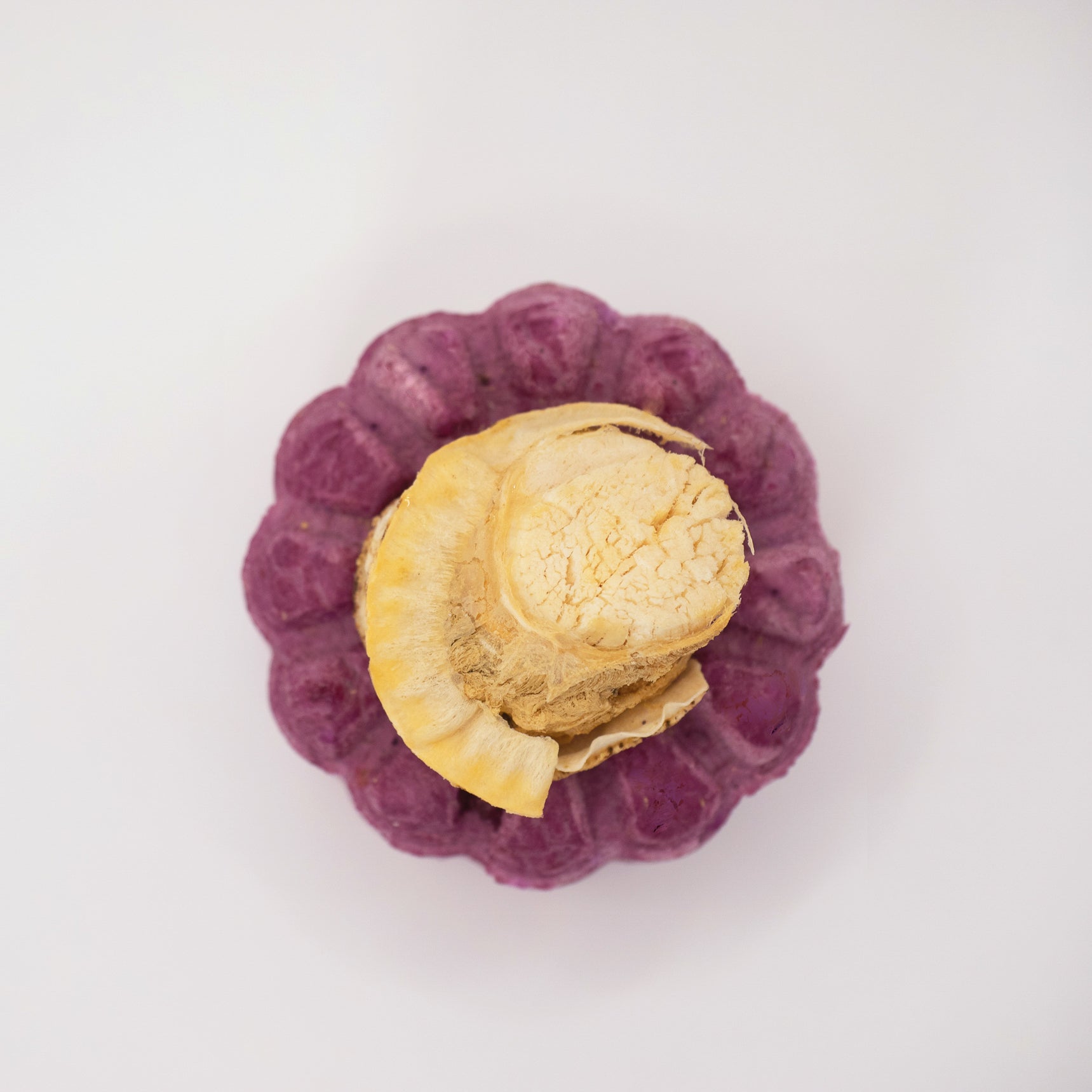 TAKI Mooncake - 2025 edition