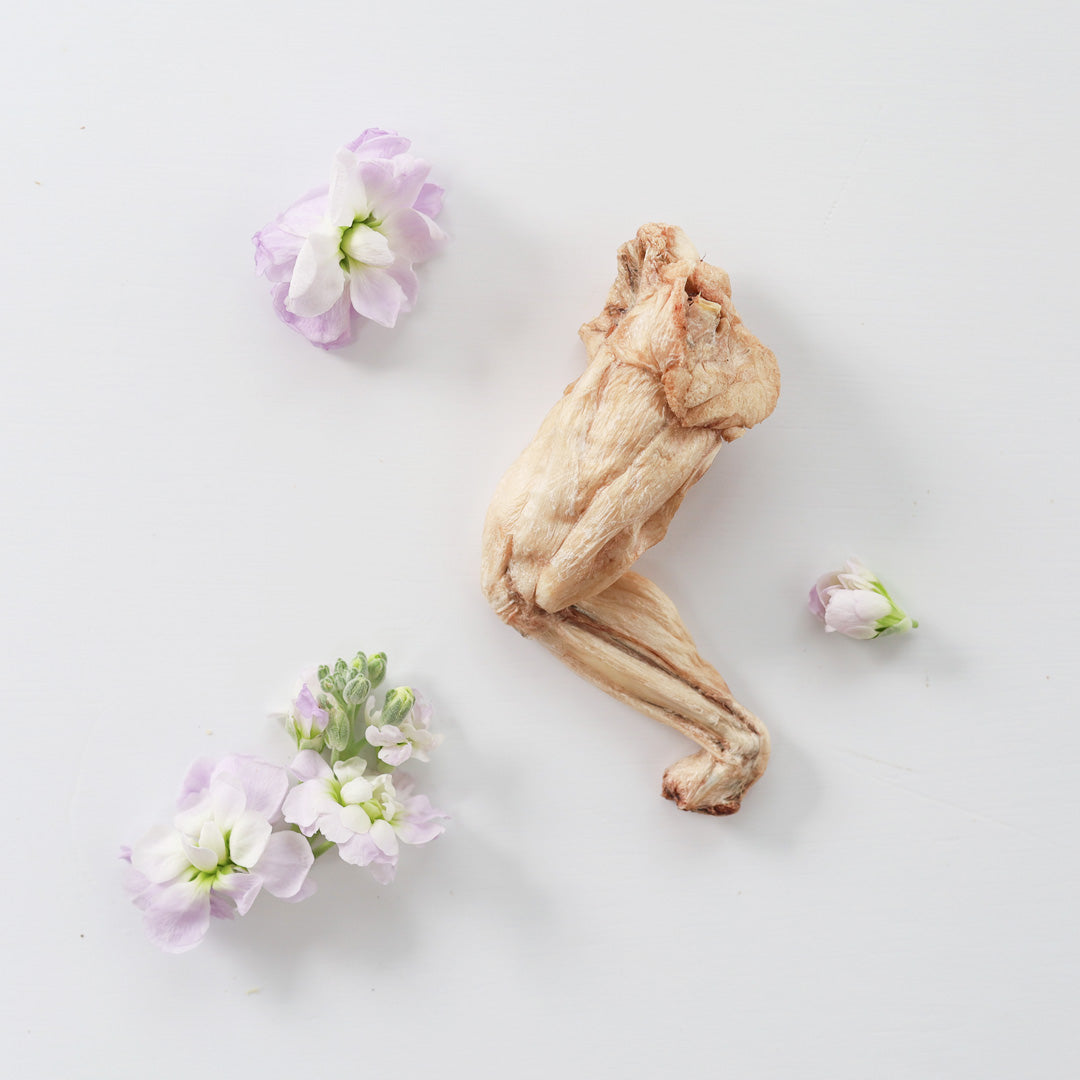 TAKI Sunshine Box - Frog Legs
