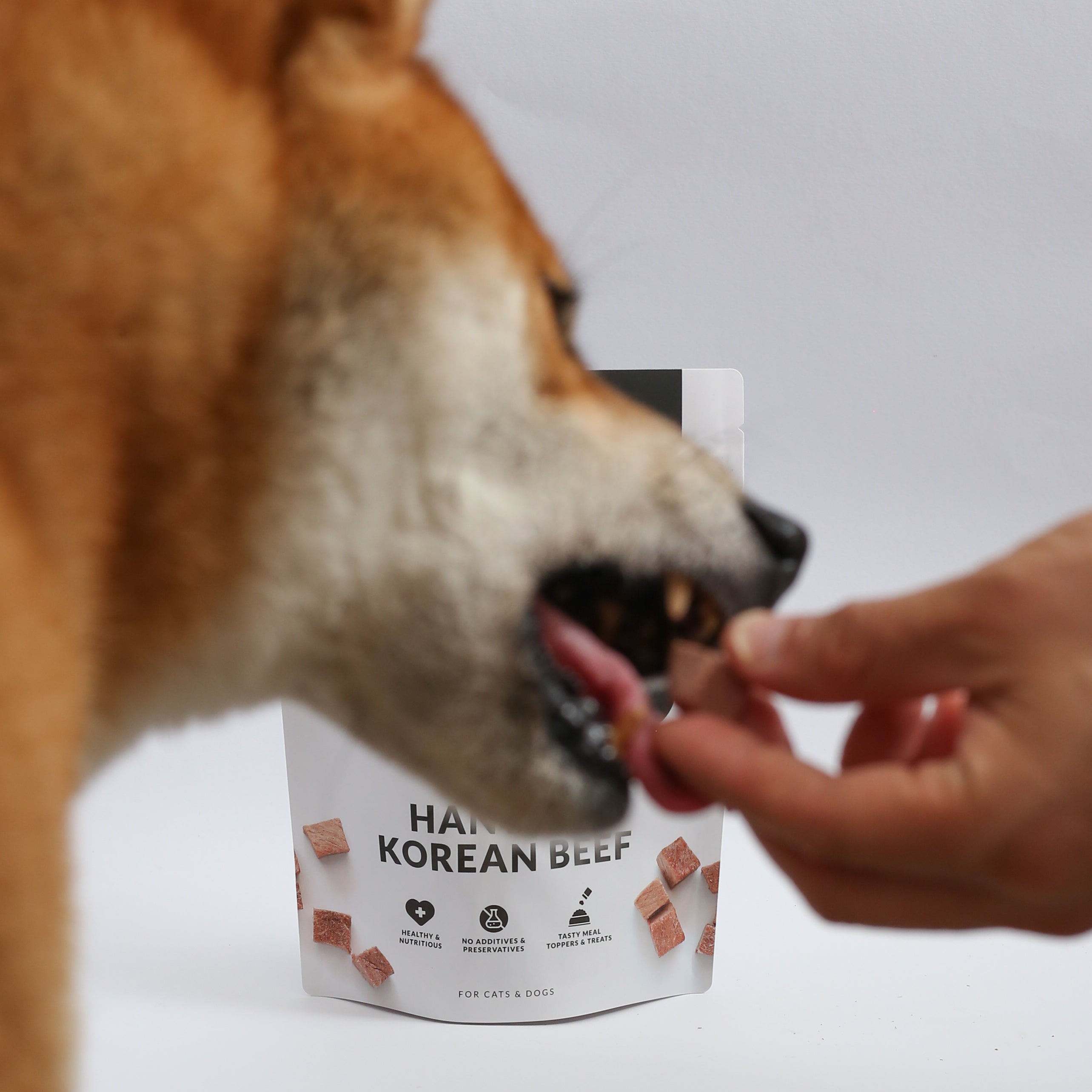 Hanwoo Korean Beef 40g