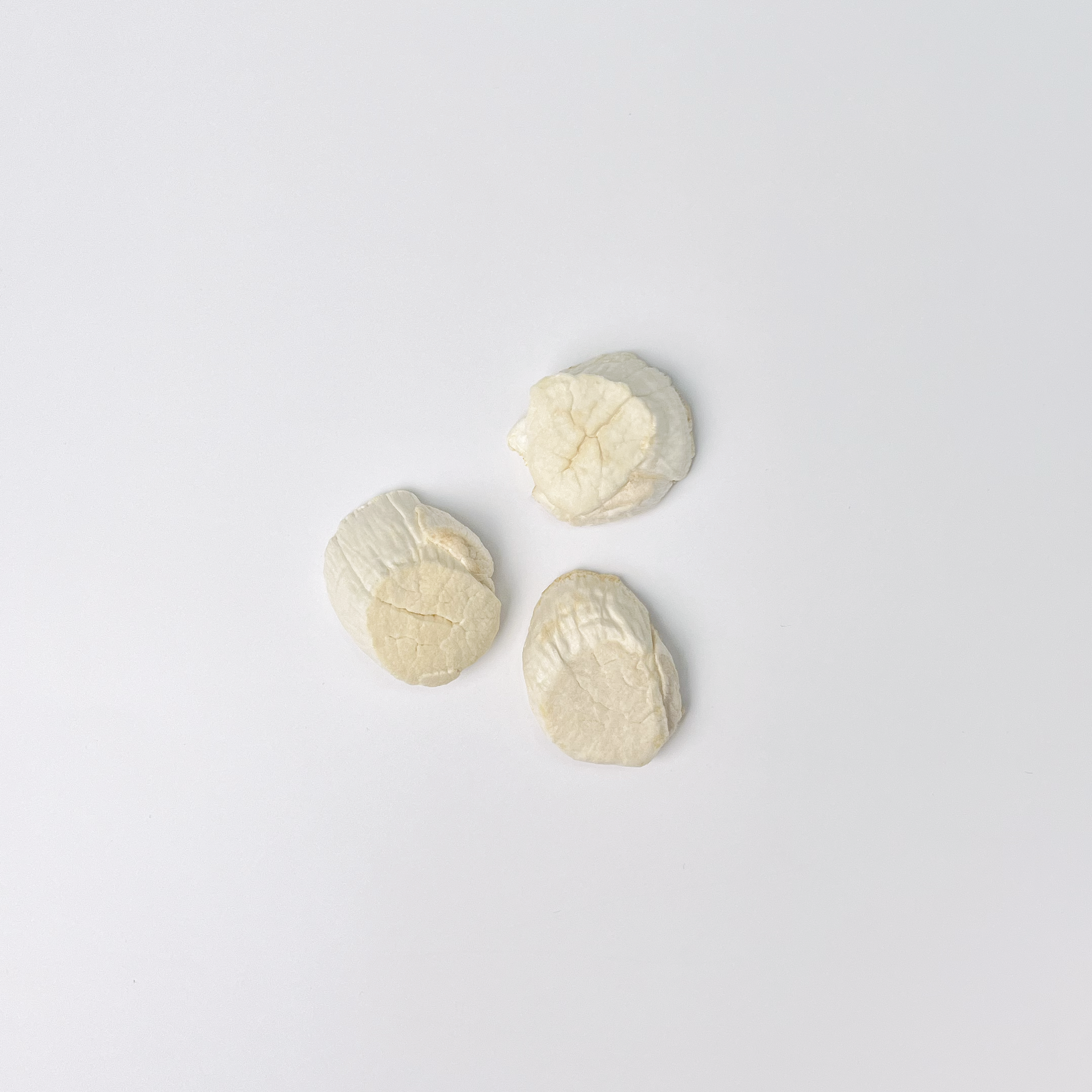 Hokkaido Scallop