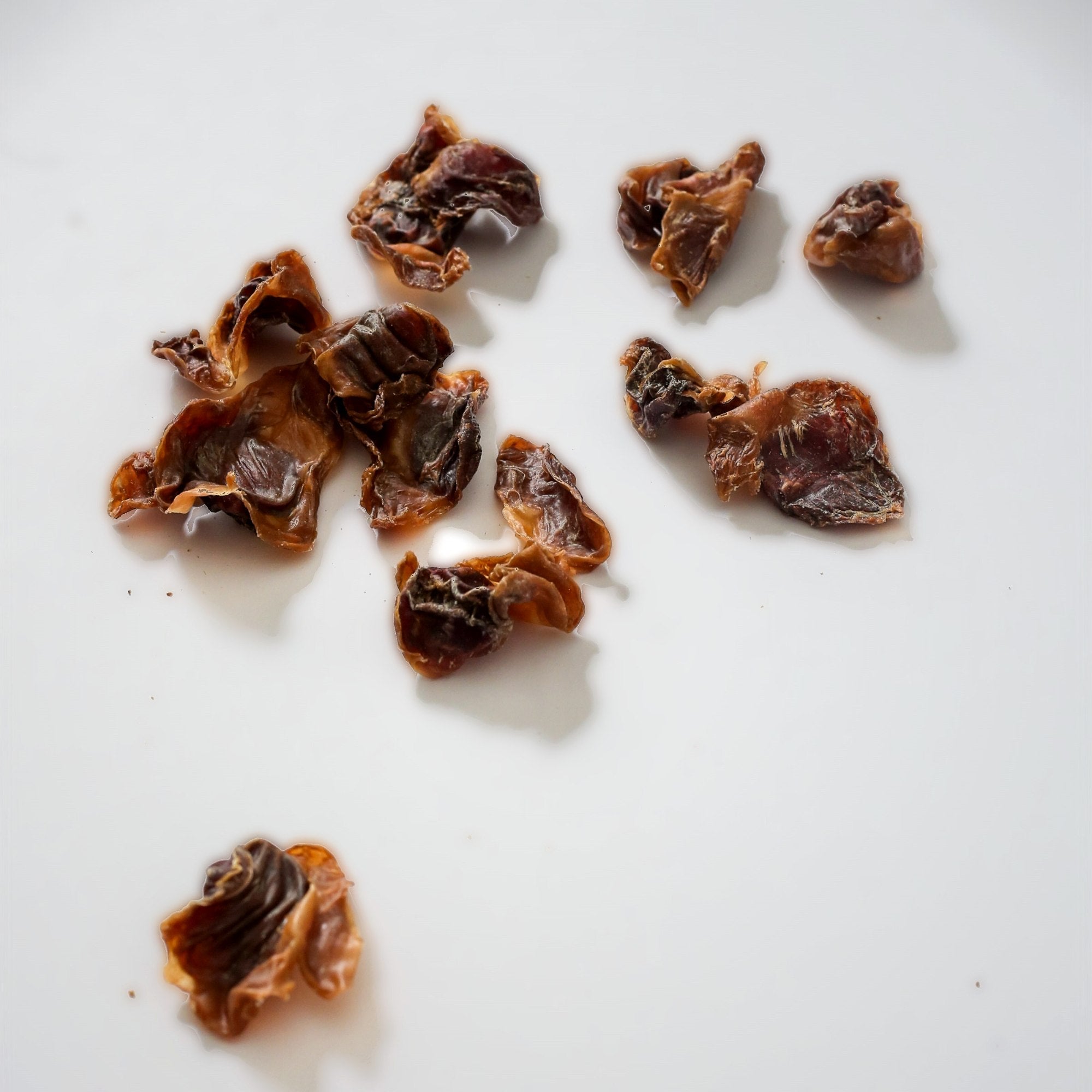 Chicken Gizzard