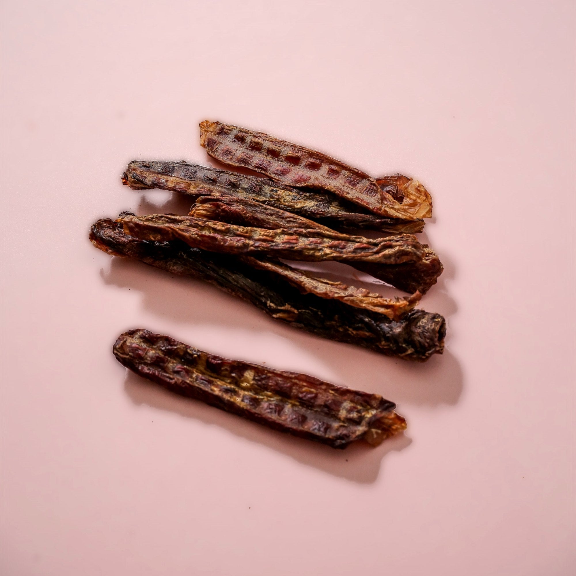 Horse Oesophagus